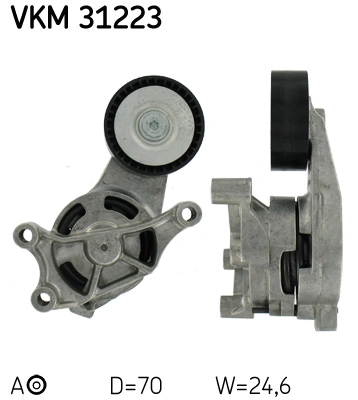VKM 31223