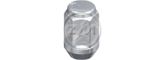 ZM 29.102.60