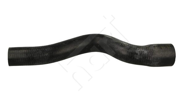 619 191