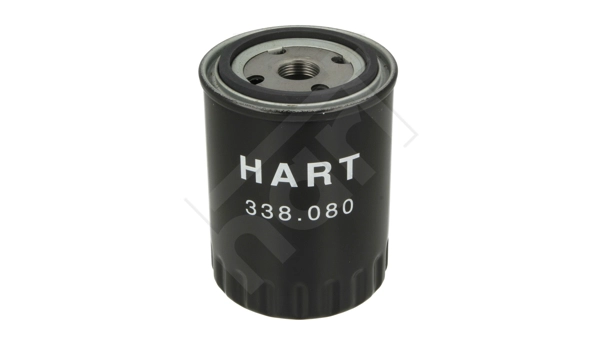 33808