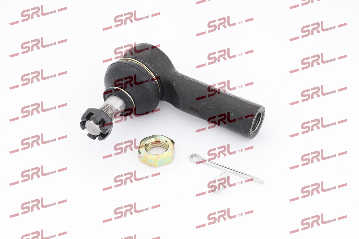 S6081038