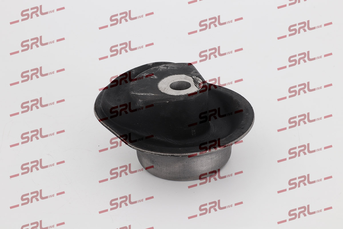 S2495007