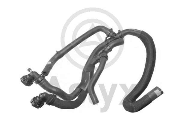 AS-509718