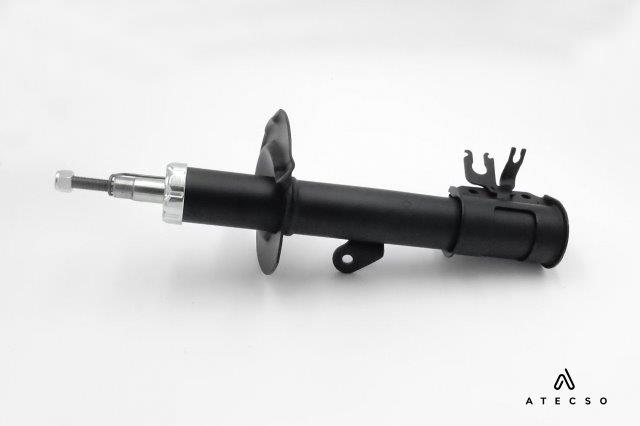 AMT00133