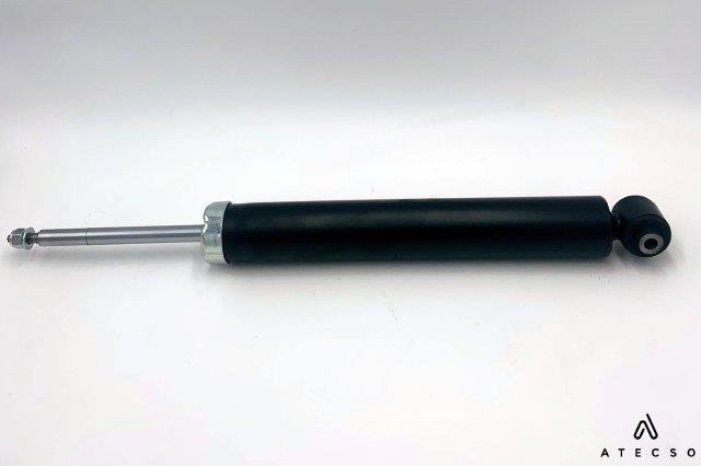 AMT00299