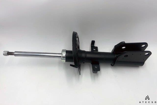 AMT00300
