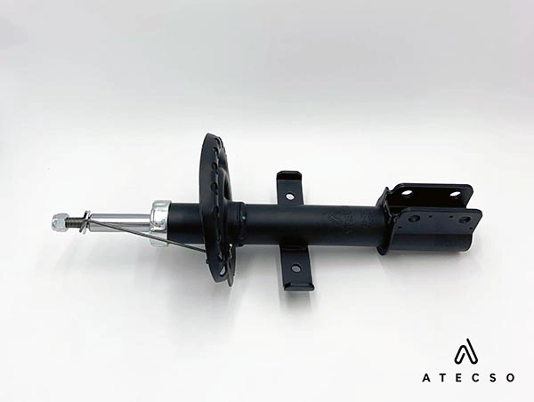 AMT00306