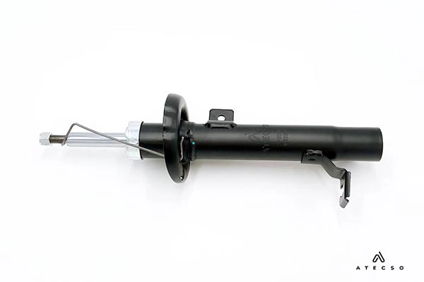 AMT00398