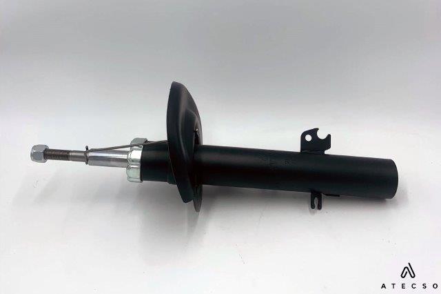 AMT00298