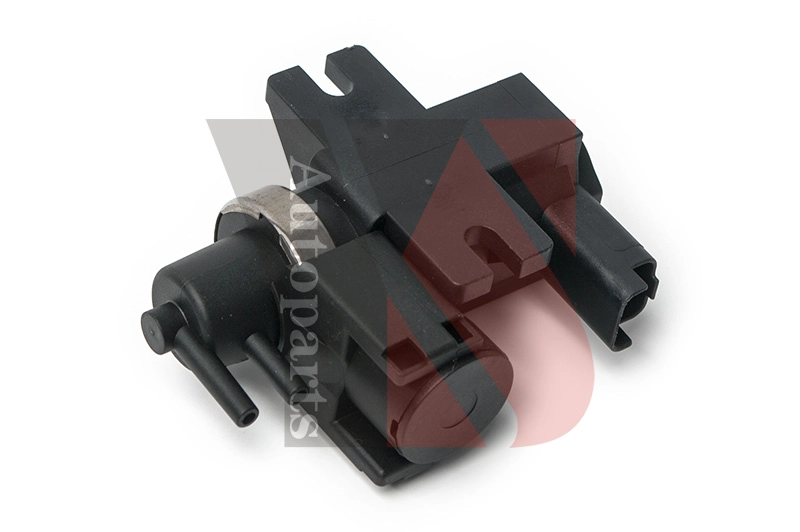 PCV029