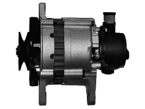 AG0456