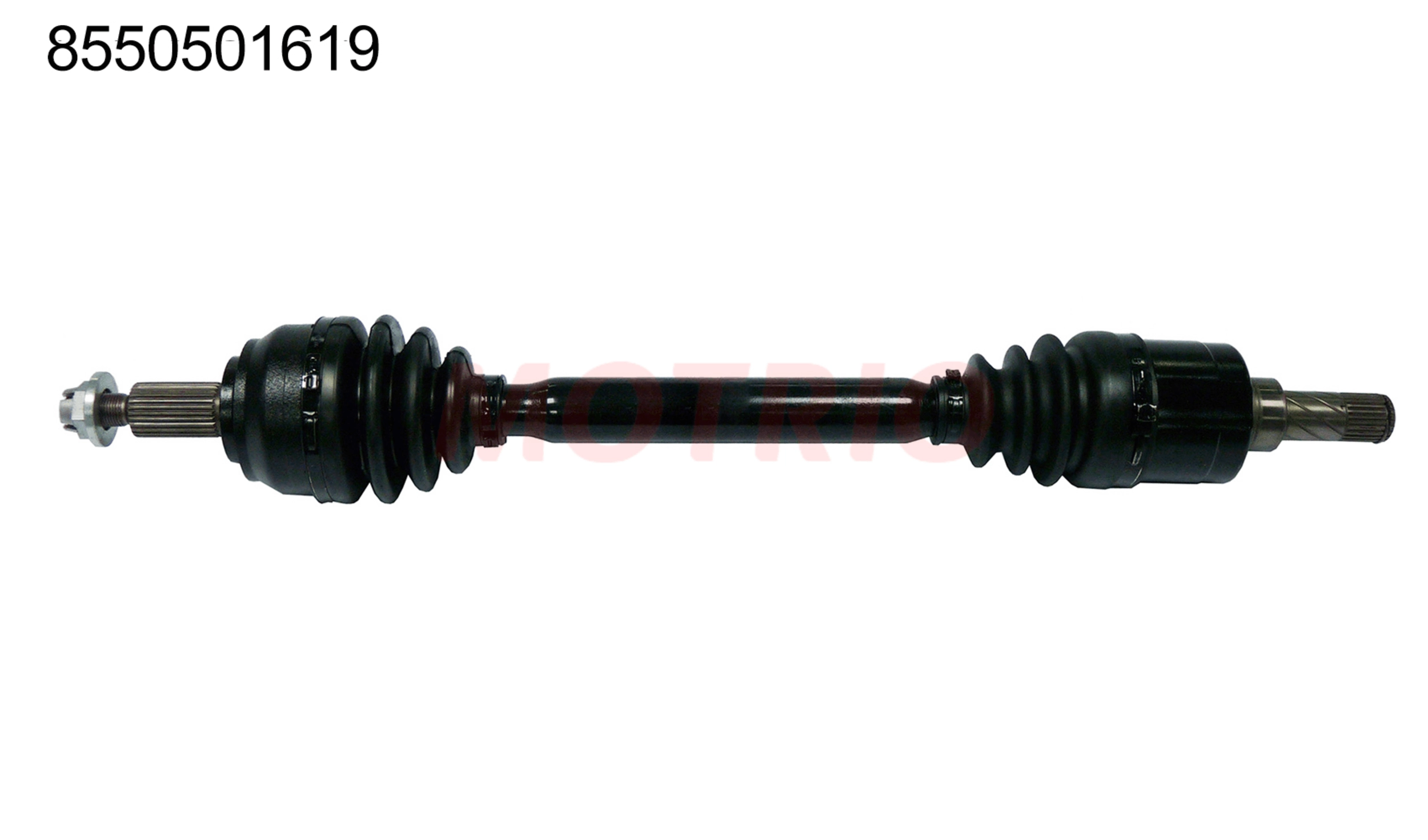 8550501619