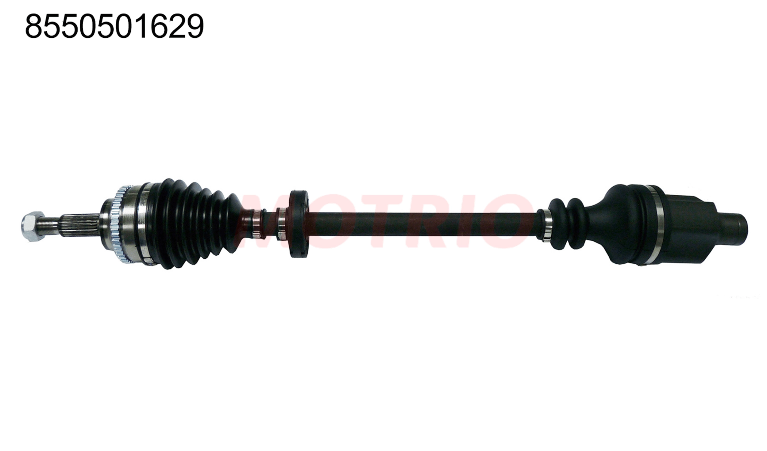 8550501629