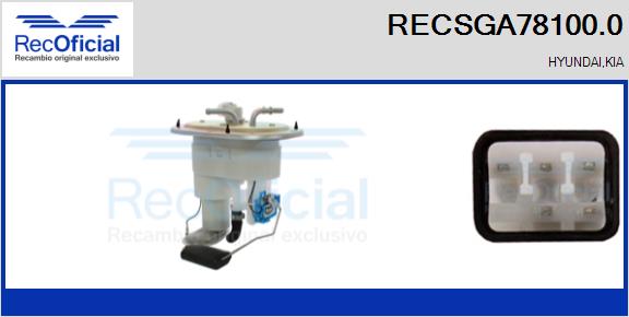 RECSGA78100.0
