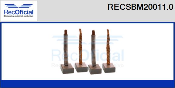 RECSBM20011.0