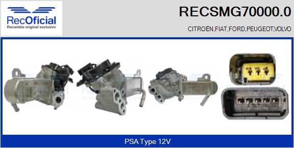 RECSMG70000.0