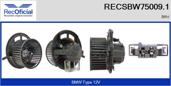 RECSBW75009.1