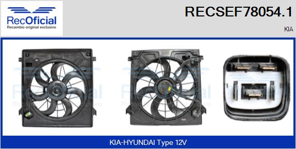 RECSEF78054.1