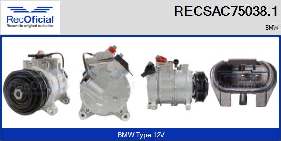 RECSAC75038.1