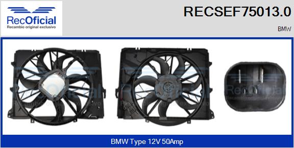 RECSEF75013.0