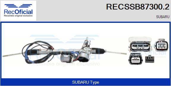 RECSSB87300.2