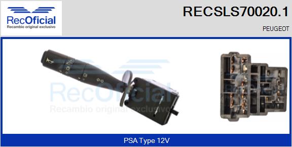 RECSLS70020.1