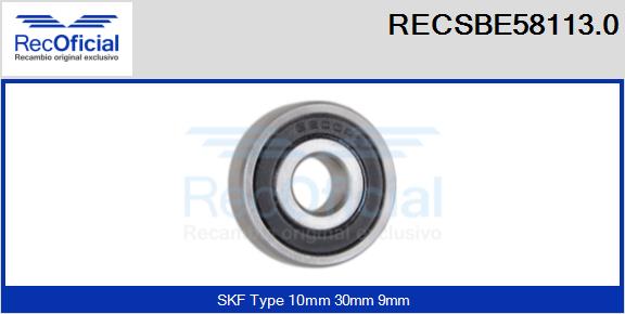 RECSBE58113.0