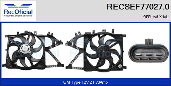 RECSEF77027.0