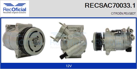 RECSAC70033.1