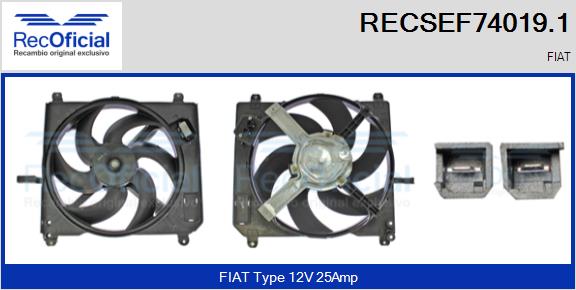 RECSEF74019.1