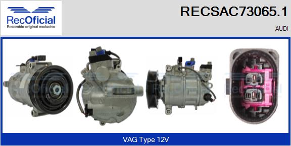 RECSAC73065.1