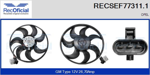RECSEF77311.1