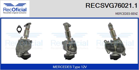 RECSVG76021.1