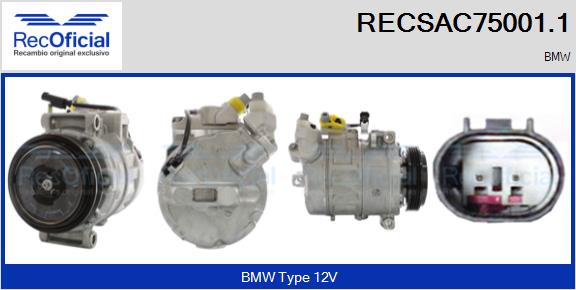 RECSAC75001.1