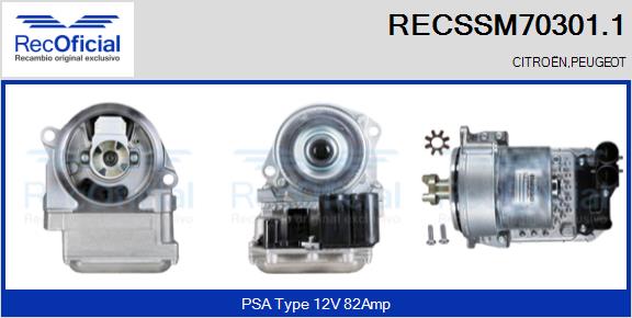 RECSSM70301.1