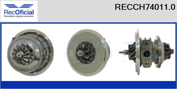 RECCH74011.0