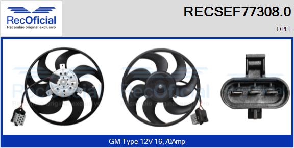 RECSEF77308.0
