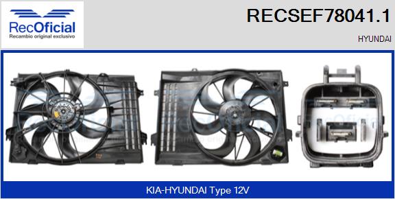RECSEF78041.1