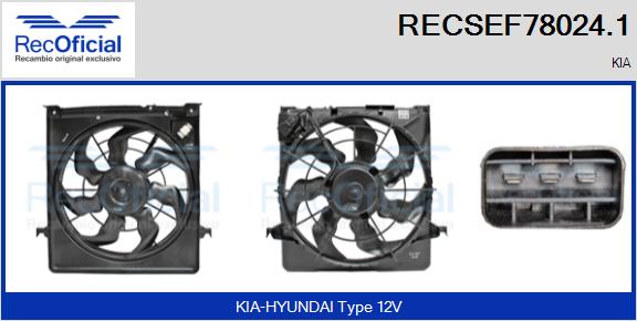 RECSEF78024.1