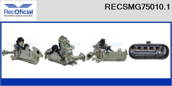 RECSMG75010.1