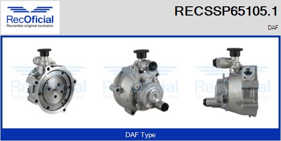 RECSSP65105.1