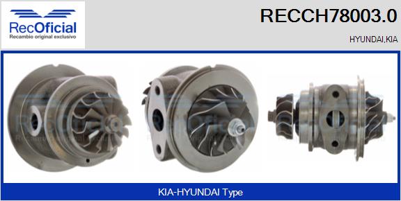 RECCH78003.0