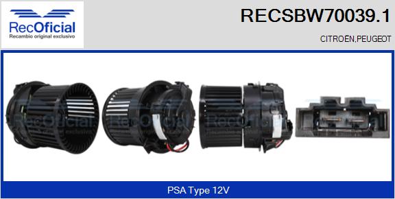 RECSBW70039.1