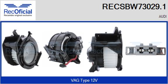 RECSBW73029.1