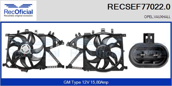 RECSEF77022.0