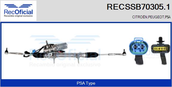 RECSSB70305.1