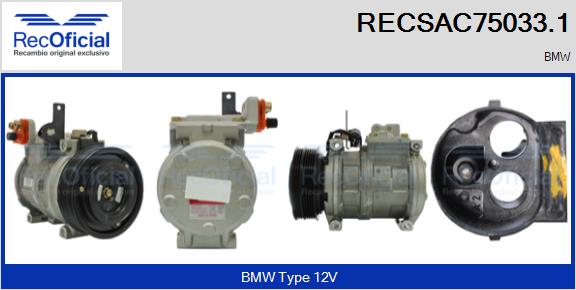 RECSAC75033.1