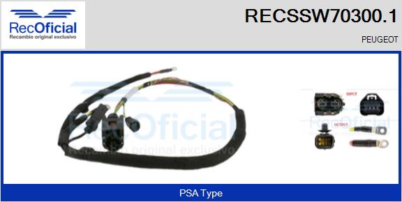 RECSSW70300.1