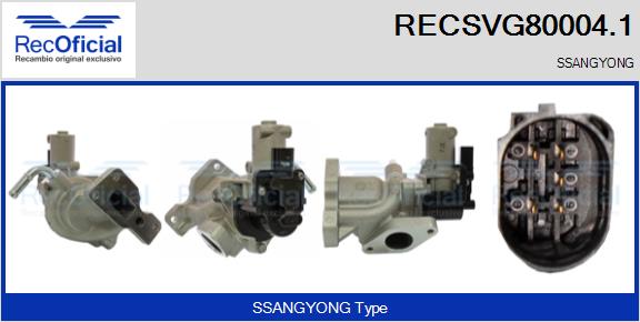 RECSVG80004.1