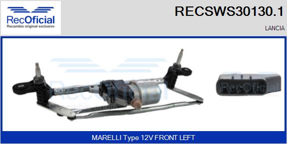 RECSWS30130.1